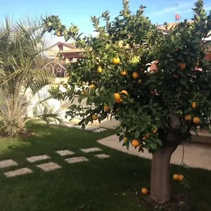 сasa Dell'arancia San Vincenzo